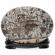 Load image into Gallery viewer, Dendritic Agate
