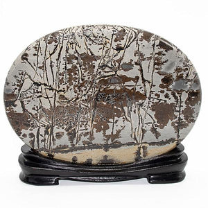 Dendritic Agate