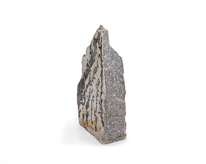 Dendrite