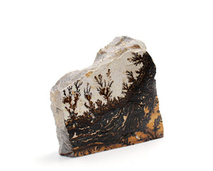 Dendrite